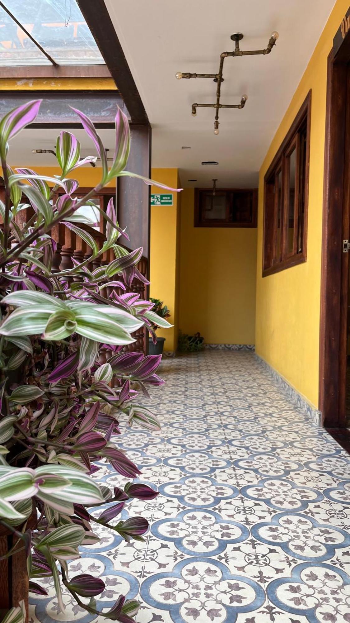 Hostal Casa Astromelia Bogotá Exteriér fotografie